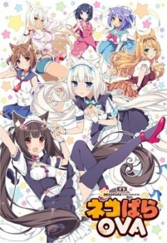 Neko Para, Nekopara,  , , , anime