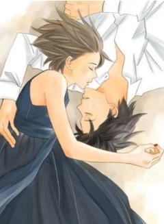 Nodame Cantabile: Finale, Nodame Cantabile Finale,   ( ), , , anime