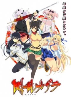 Senran Kagura Ninja Flash, Senran Kagura,   -,  ,  