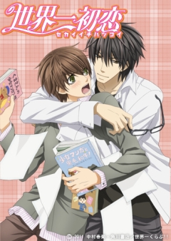 The best in the world first love TV, Sekai-ichi Hatsukoi TV ,       , 