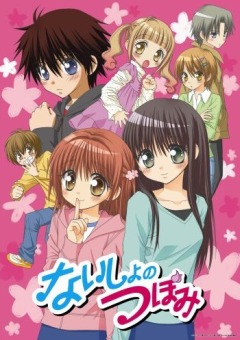 Tsubomis Secrets, Naisho no Tsubomi,  , , , anime