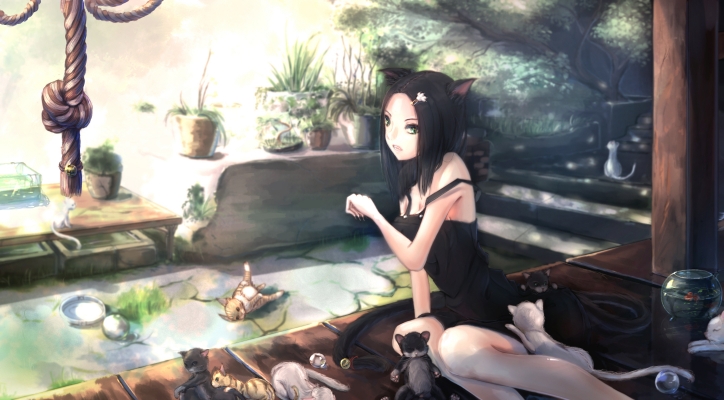 Anime CG Anime Pictures      181664
 668270   ( Anime CG Anime Pictures      ) 181664   : kikivi
animal black hair green eyes hairpins neko mimi short tail water   anime picture