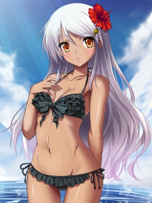 Anime CG Anime Pictures      182575
 669209   ( Anime CG Anime Pictures      ) 182575   : Bug
bikini blush brown eyes dark skin flower hairpins long hair purple sky water   anime picture