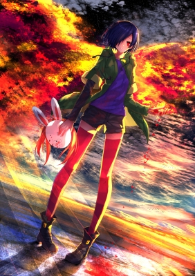 Tokyo Ghoul : Kirishima Touka 183484
 670122  tokyo ghoul  kirishima touka   ( Anime CG Anime Pictures      ) 183484   : Rentian
blue hair boots jacket mask red eyes short shorts sky thigh highs   anime picture