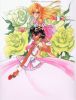 utena 09   1962 
utena 09   Anime CG Utena    picture photo foto art