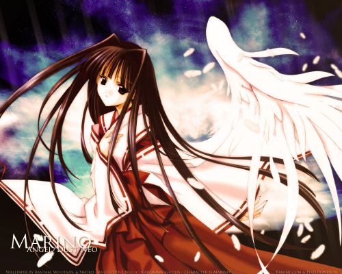 angeldust marino 1280x1024 1   827 
angeldust marino 1280x1024 1   ( Anime Wallpapers Angeldust  ) 827 
angeldust marino 1280x1024 1   Anime Wallpapers Angeldust    picture photo foto art