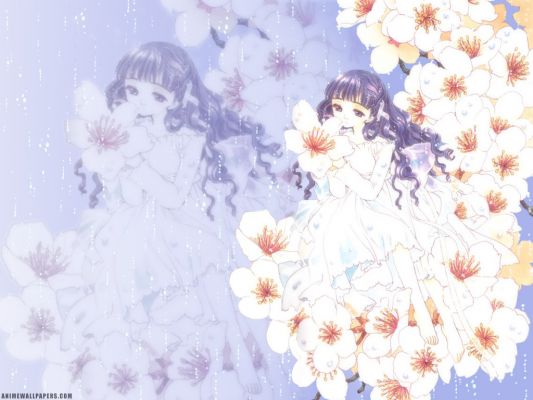 ccs 30 1024   437 
ccs 30 1024   ( Anime Wallpapers Card Captor Sakura  ) 437 
ccs 30 1024   Anime Wallpapers Card Captor Sakura    picture photo foto art