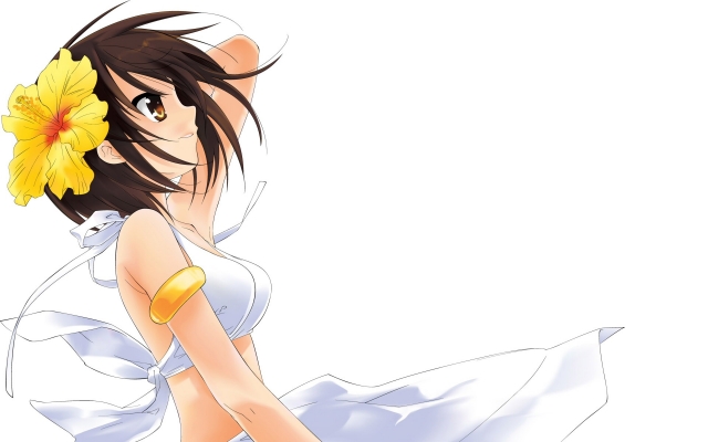 Haruhi 1
