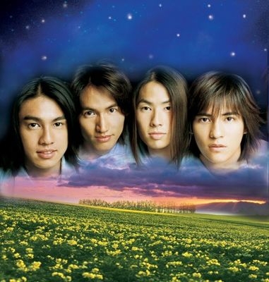 Meteor garden
Meteor garden