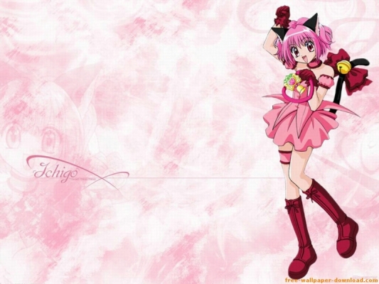 Tokyo Mew Mew
Tokyo Mew Mew