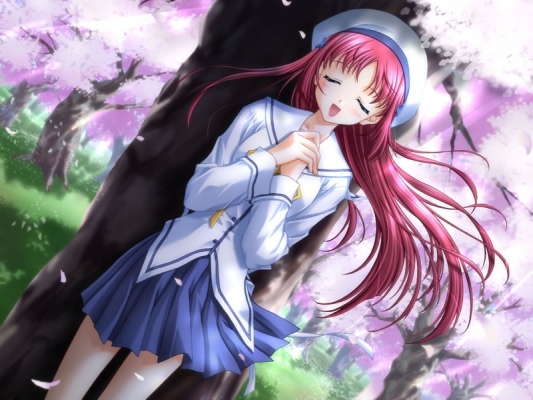 D.C. Da Capo
D.C.: Da Capo   ()  ,    ,     , D.C.: Da Capo anime picture and D.C.~Da Capo~ wallpaper desktop,    ,    