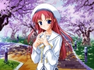 D.C. Da Capo
D.C.: Da Capo   ()  ,    ,     , D.C.: Da Capo anime picture and D.C.~Da Capo~ wallpaper desktop,    ,    