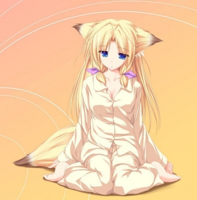 fox girls -  kitsune
fox girls -  kitsune