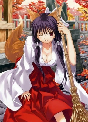 fox girls -  kitsune
fox girls -  kitsune