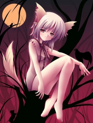 fox girls -  kitsune
fox girls -  kitsune