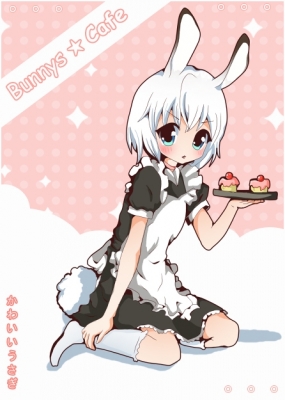 Bunny
Bunny