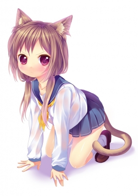 Neko
Neko