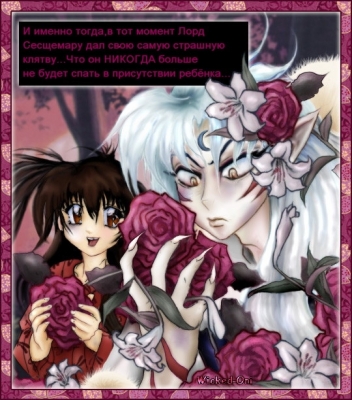 .
Inuyasha 