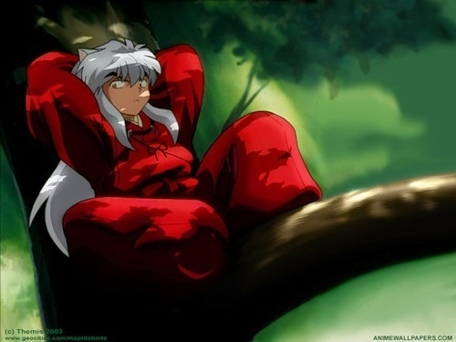    . 
Inuyasha 