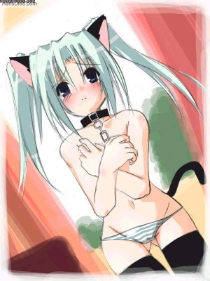 Neko
