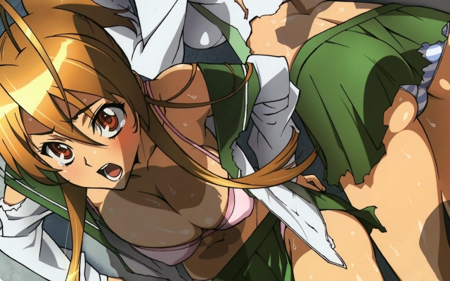 Highschool of the dead 067
Highschool of the dead wallpaper