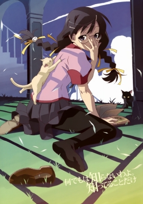 Bakemonogatari 082
Bakemonogatari art 