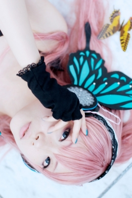 Megurine Luka butterfly by Ibara 015
  Megurine Luka Cosplay Vocaloid  