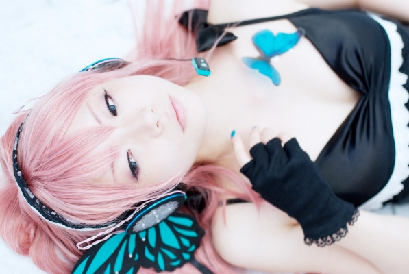 Megurine Luka butterfly by Ibara 014
  Megurine Luka Cosplay Vocaloid  