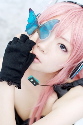 Megurine Luka butterfly by Ibara 011
  Megurine Luka Cosplay Vocaloid  