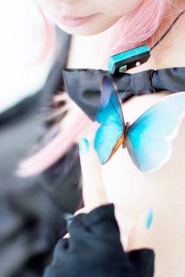 Megurine Luka butterfly by Ibara 010
  Megurine Luka Cosplay Vocaloid  