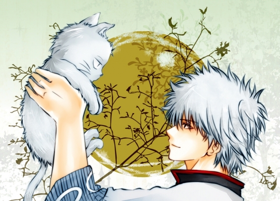 Gintama Wallpaper 178
 Gintama Silver Soul Wallpaper