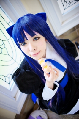 Stocking by Hayase Ami 021
 panty stocking cosplay Hayase Ami