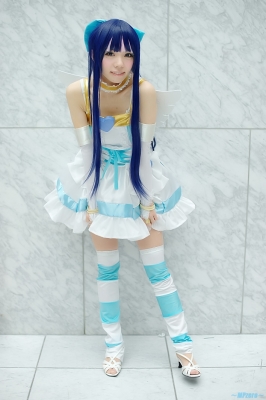 Stocking by Hayase Ami 018
 panty stocking cosplay Hayase Ami