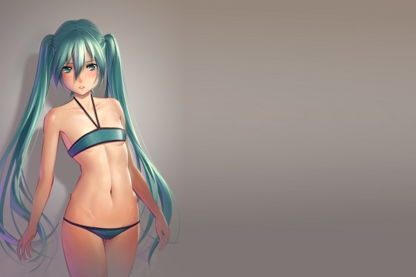 Vocaloid Hatsune Miku Wallpaper
 Vocaloid Hatsune Miku wallpaper         