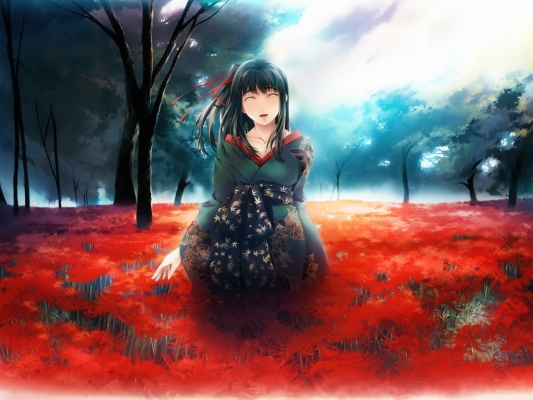  
         anime wallpapers art fanart anime