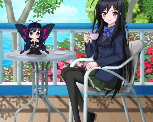 Accel World Wallpaper
 Accel World anime picture and wallpaper desktop    ,  ,     