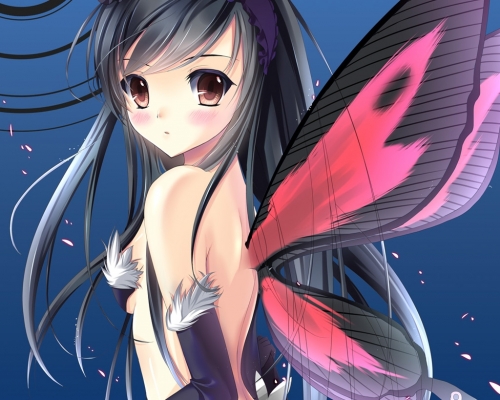 Accel World Wallpaper
 Accel World anime picture and wallpaper desktop    ,  ,     