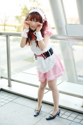 asahina mikuru by himezaki reika
 suzumiya haruhi Cosplay pictures      