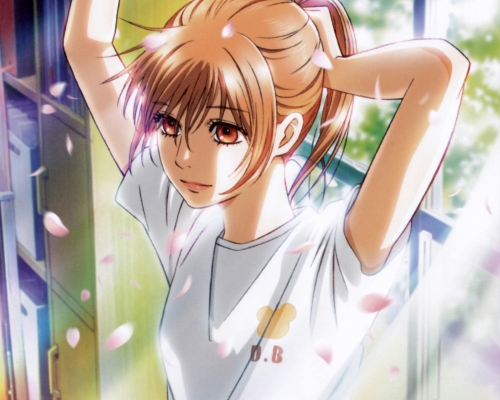 Chihayafuru Wallpaper
 Chihayafuru  ,  ,     ,     , anime picture and wallpaper desktop