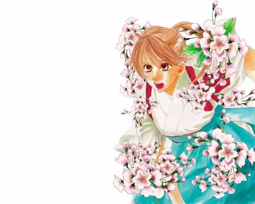 Chihayafuru Wallpaper
 Chihayafuru  ,  ,     ,     , anime picture and wallpaper desktop