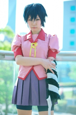 kanbaru suruga by tora
 bakemonogatari Cosplay pictures     