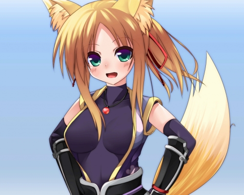 Dog Days
    ,  ,     , Dog Days anime picture and wallpaper desktop,    ,    