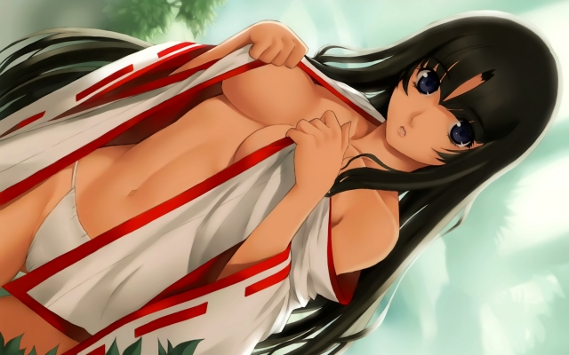 Queens Blade wallpaper
    ,  ,     , Queens Blade anime picture and wallpaper desktop,    ,    