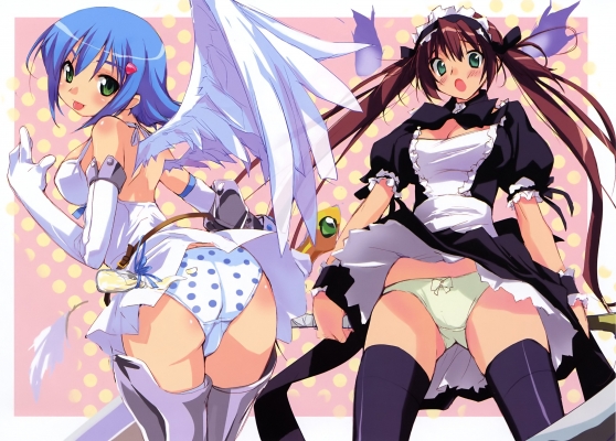 Queens Blade wallpaper
    ,  ,     , Queens Blade anime picture and wallpaper desktop,    ,    