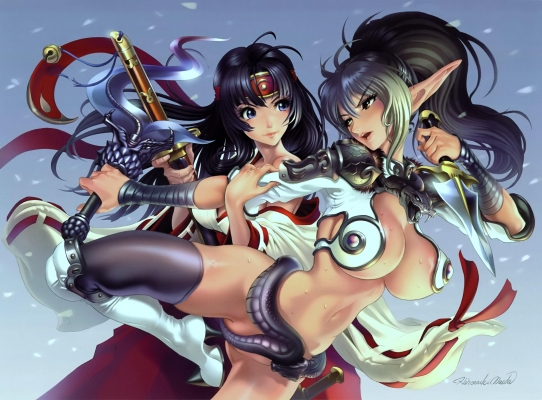 Queens Blade wallpaper
    ,  ,     , Queens Blade anime picture and wallpaper desktop,    ,    