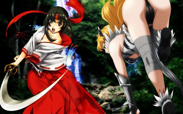 Queens Blade wallpaper
    ,  ,     , Queens Blade anime picture and wallpaper desktop,    ,    