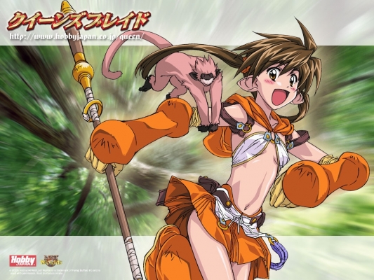 Queens Blade wallpaper
    ,  ,     , Queens Blade anime picture and wallpaper desktop,    ,    