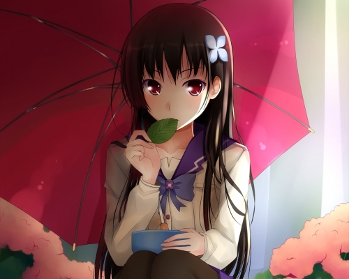 Sankarea Wallpaper
Sankarea    ,  ,     , anime picture and wallpaper desktop,    ,    