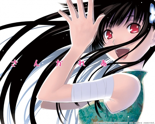 Sankarea Wallpaper
Sankarea    ,  ,     , anime picture and wallpaper desktop,    ,    