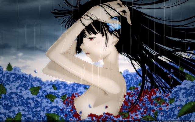 Sankarea Wallpaper
Sankarea    ,  ,     , anime picture and wallpaper desktop,    ,    